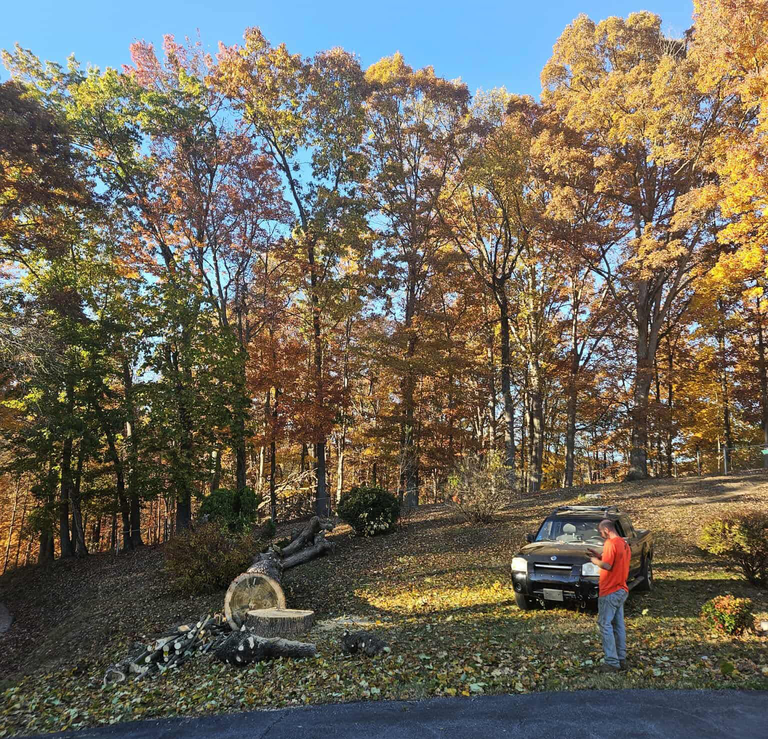 Stump Grinding in Colonial Heights Tennessee